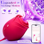 Vibrator Dildo Sex Toys for Women